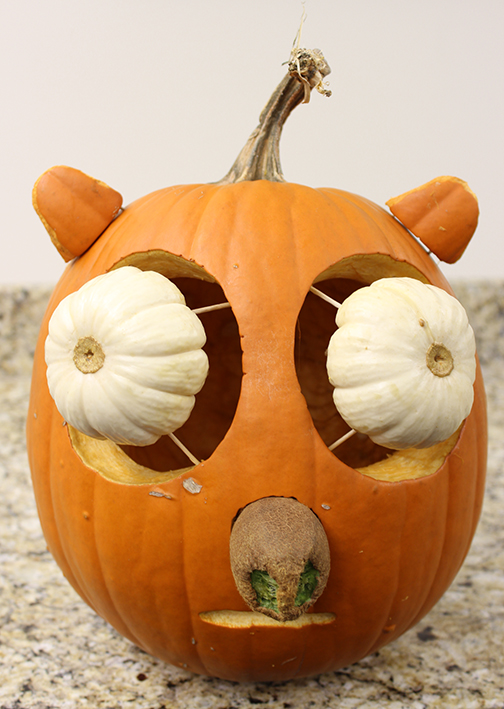 SAHP Pumpkin Decorating Contest Winners - College of Allied Health ...