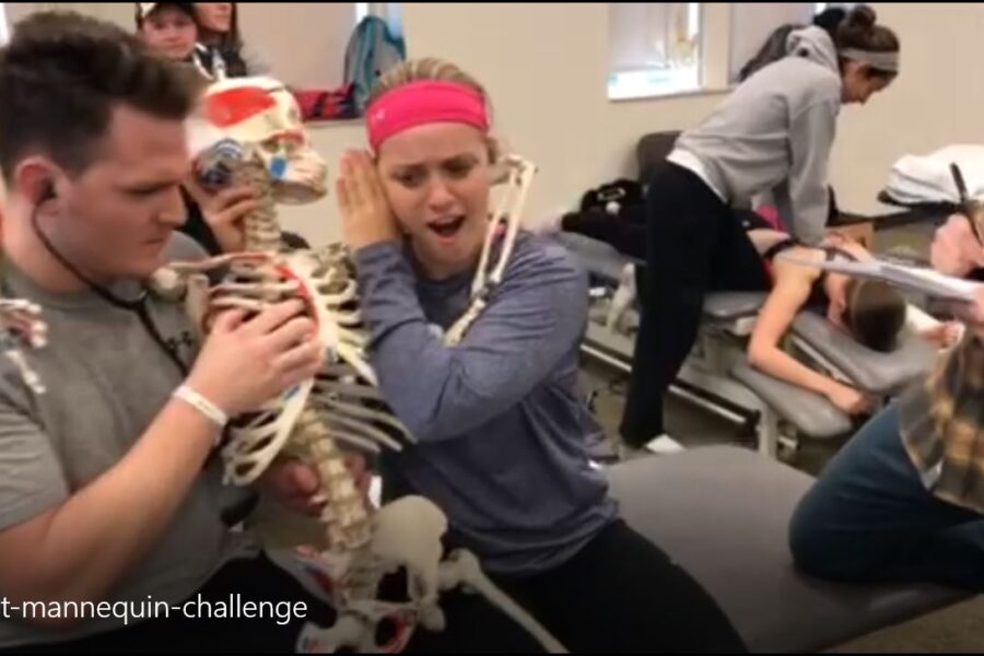 PT students doing a mannequin challenge in the lab