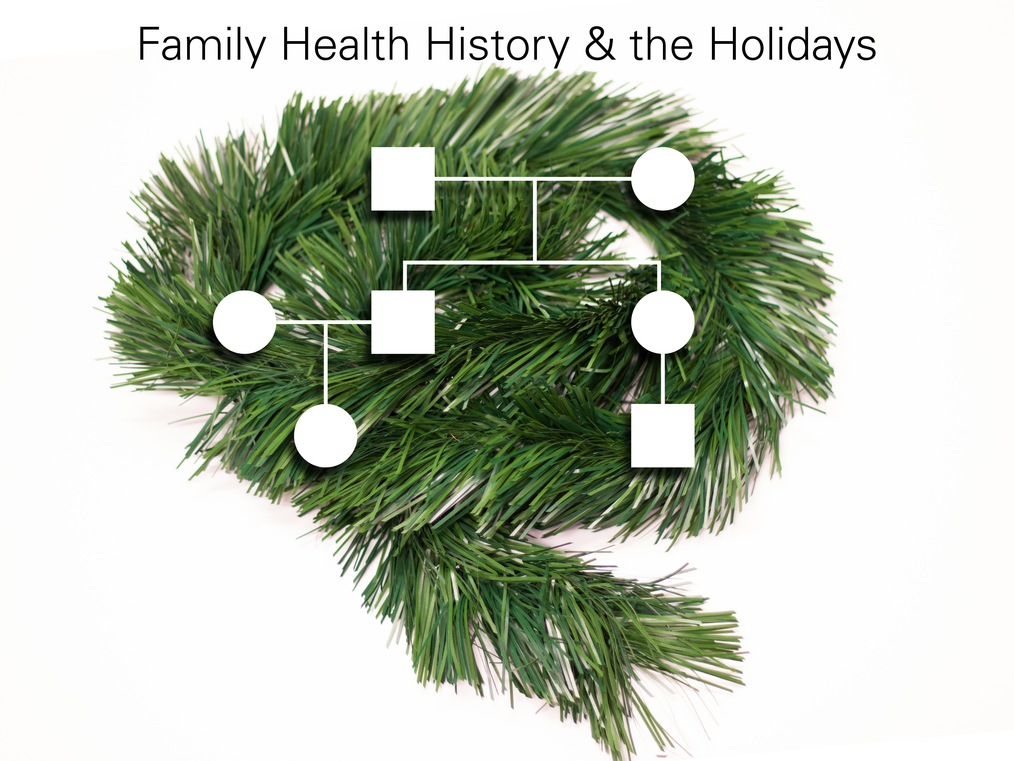family health history chart on evergreen boughs