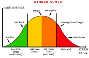 Stress Curve