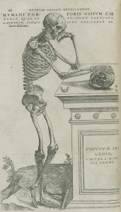 Vesalius skeleton