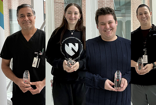 2026 New Years Awards